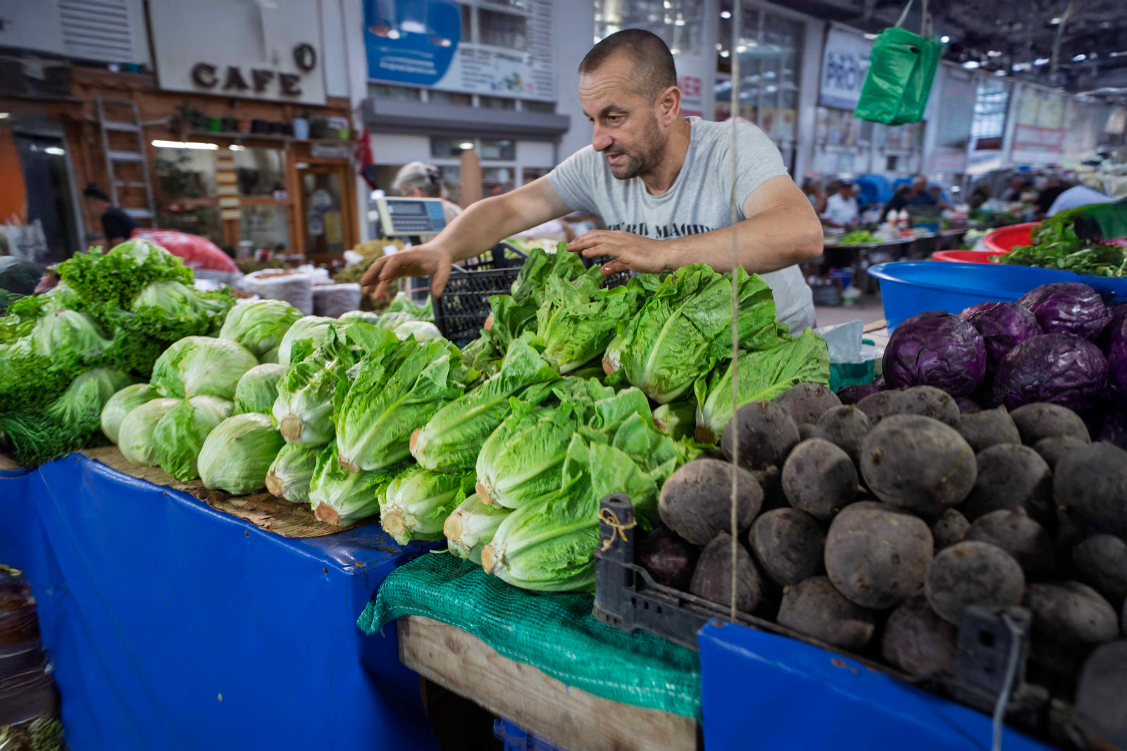 Sinop Marketplace — 7
