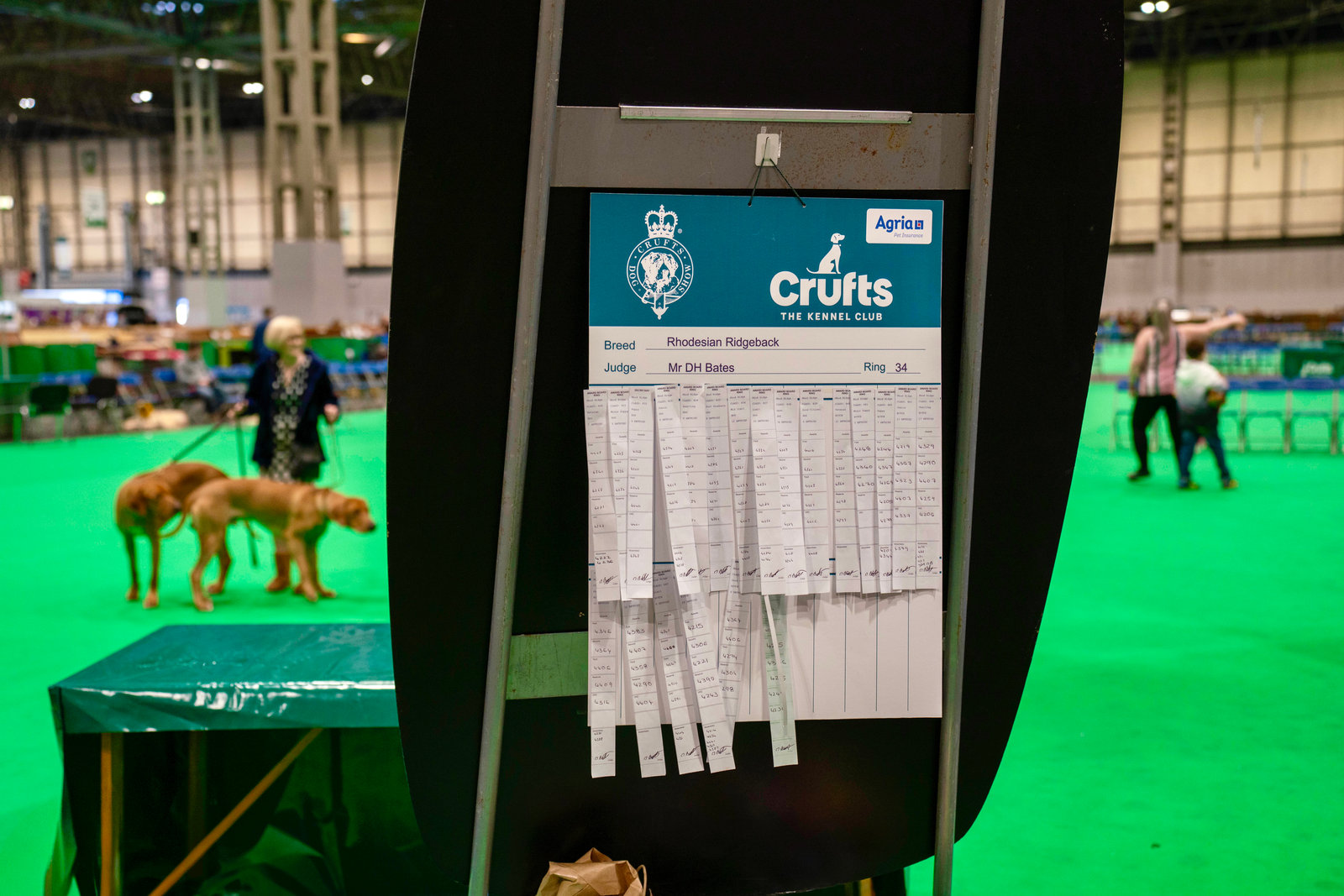 Celebrating Canine Excellence: Crufts