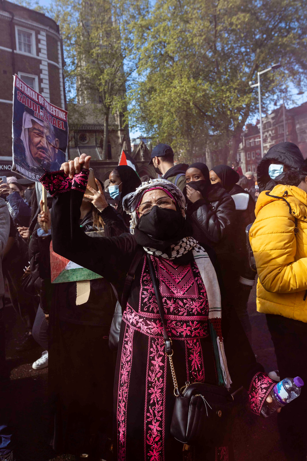 Palestine Protests — 3